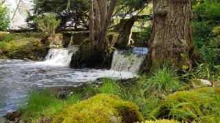 Le Moulin Hodoux - Luynes - 7