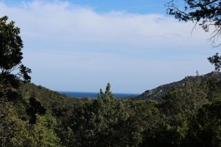 Villa Giulia - Porto-Vecchio - 6