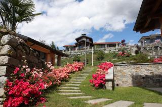 Casa Ilaria - Armeno - 6
