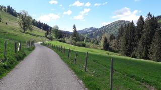 Stella Alpina, Skipass inkl - Oberstaufen - 6