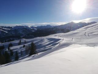 Holzfällerhaus Melkstatt - 3