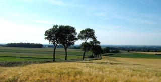 Camping Pommiers des Trois Pays - Licques - 1