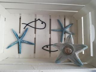 La Casa Delle Conchiglie - 4