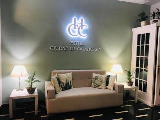 Hotel Ciudad De Calahorra - Calahorra - 5