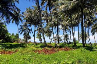 Ira Bungalows Pulau Banyak - Alaban - 3