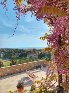 Castel del Mare - San Vincenzo - 6