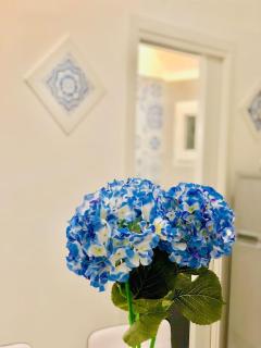 Penisola Home Experience - Vico Equense - 3