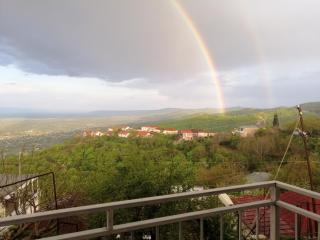 Guest House Alazani Valley - 1