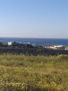 Ninemia mjf - Naousa - 2