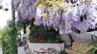 Hotel Giardinetto - Desenzano del Garda - 5