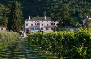 Villa Premoli - Agriturismo di charme - Cavaso del Tomba - 0