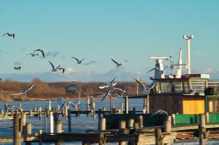 FeWo an der Ostsee Nr. 2 - 4