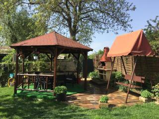 Vila Tineretului - Satu Mare - 9