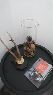 Suite Life Brasov - Braşov - 2
