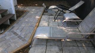 3864 Walsh Street Apartment - Jacksonville - 6