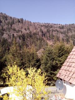 L Annexe - Mittlach - 7