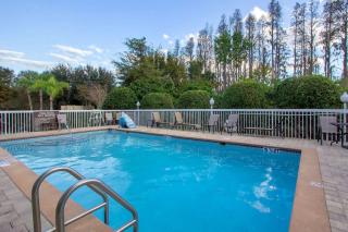 Sleep Inn near Busch Gardens - USF - Tampa - 7