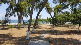 Ενοικιαζόμενα Δωμάτια Πιτσαδιώτη - 1