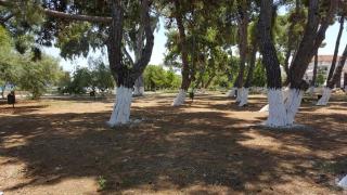 Ενοικιαζόμενα Δωμάτια Πιτσαδιώτη - 2