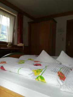 Gästehaus Waldruh - Mayrhofen - 8