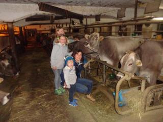 Pitterle Hof - Meltina - 2