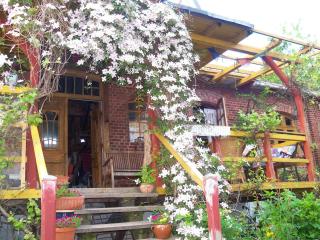 Windmühle an der Nordsee in der Nähe Büsum - 4