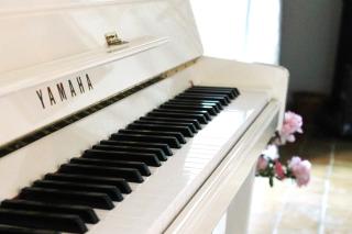 Les Volets Bleus Provence - 4