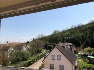 F1 avec Terrasse, 5 min de Colmar, vignoble et free parking - Wintzenheim - 4