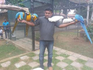Amawin Resort - Hambantota - 8