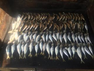 Vila Lăcrămioara din Mangalia - 2