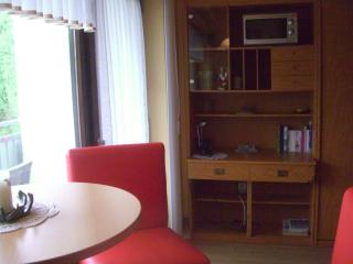 Ferien Penthouse Panoramablick oder Studio Panoramablick - Bad Grund - 1