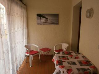 Studio n°2 avec terrasse, agréable, bien situé - Amélie-les-Bains-Palalda - 2