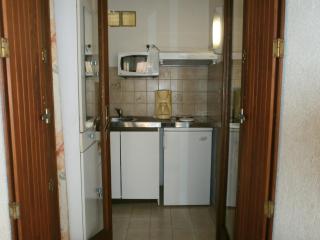 Studio n°2 avec terrasse, agréable, bien situé - Amélie-les-Bains-Palalda - 4