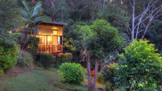 Montville Ocean View Cottages - Montville - 4