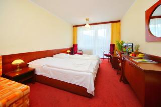 Wellness Hotel Svornost - Harrachov - 6