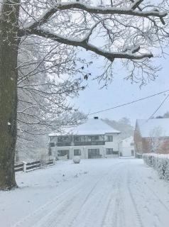 Agroturystyka Nad Stawem - Centawa - 5