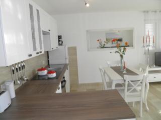 Apartment Perla - Dinjiška - 1