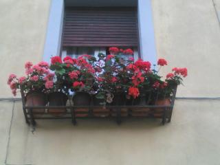 La casa dei Fiori - Vetralla - 1