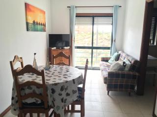 Mira House - Praia de Mira - 0