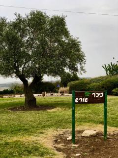 pisgat shoresh - 1
