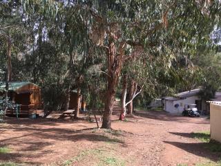 Camping du Soleil - Appietto - 5