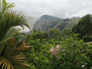 Tea Garden Holiday Inn - 6