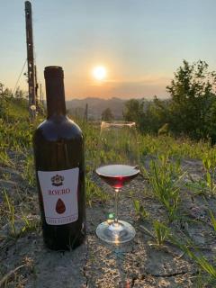 Costa Catterina B&B - 6