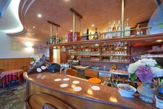 Hotel Benacus Torri del Benaco - 1