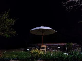 Forest Eco Lodge - Mount Ābu - 3