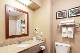 Comfort Inn & Suites and Suites Fredericksburg - Fredericksburg - 2