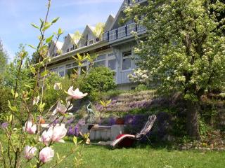 Gesundheitshotel Haus Sonnenstein - Salem - 9