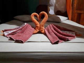 Eriono guest house Bukit lawang - 4