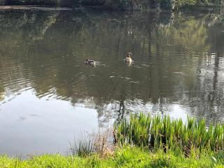 Finlaystone Family Barn - 9