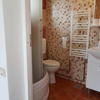 Casa Farcaș Bușteni - 4